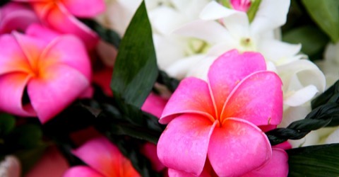 Ti leaf leis with pink hibiscus flowers for a beach wedding on Oahu