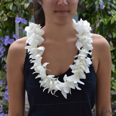 A full white orchid lei for a Hawaii wedding
