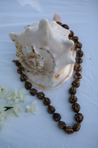 A conch shell with a kukui nut lei at a beach wedding setup in Honolulu