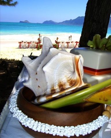 A conch shell in a wooden bowl circled by a white shell lei in Hawaii