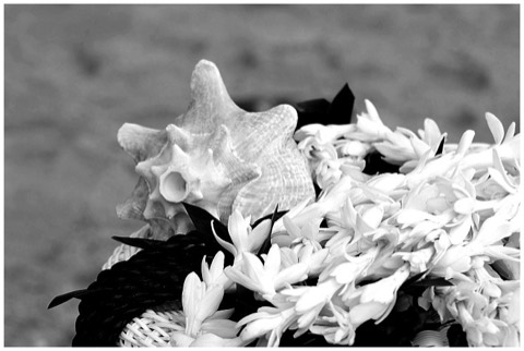 Black and white photo of a conch shell with twisted ti leaf leis on Oahu