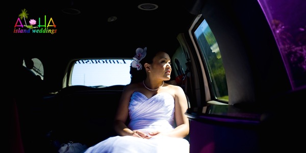 The bridal party in the limo, photo 8
