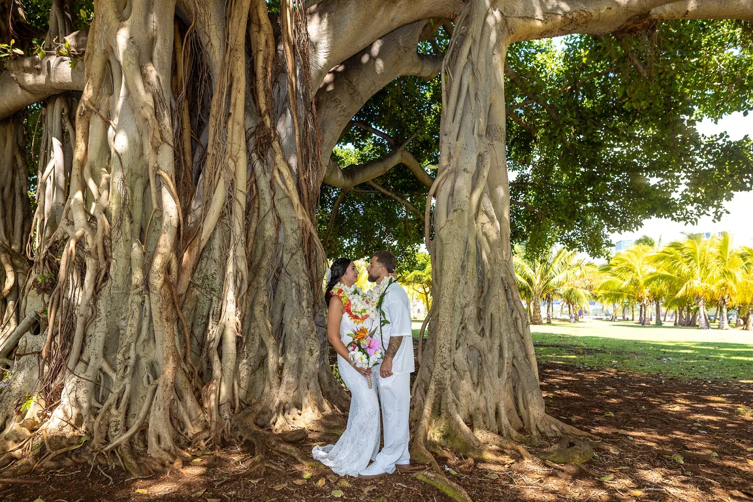 Standing among the banyan tree roots