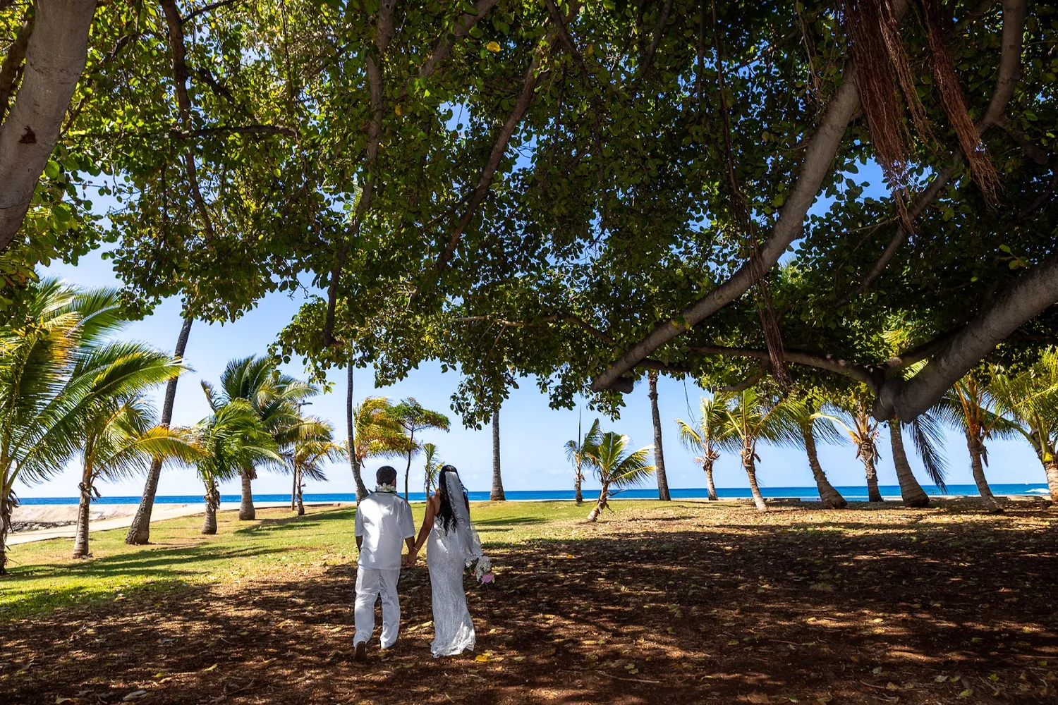 Walking under the trees at Magic Island