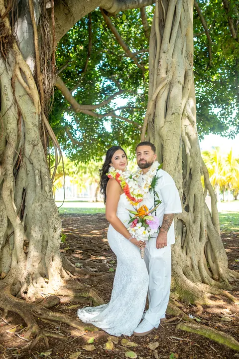 Portrait under the banyan tree