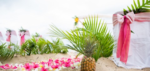 Bamboo arch and palms lining the aisle at Makapuu beach