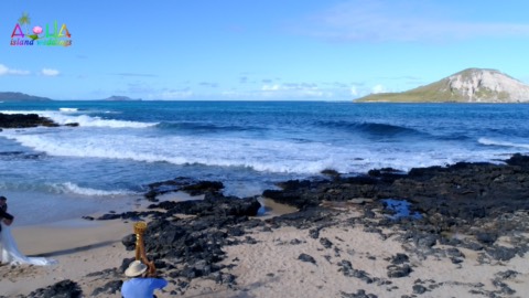 The golden harp on the sand at Makapuu beach