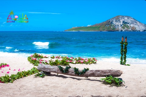 A pink flower heart on the sand at Makapuu Beach Park with Rabbit Island offshore