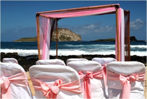 A pink and chocolate wedding setup on the beach at Makapuu