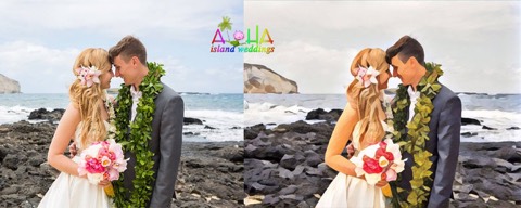 Jill and James's wedding photo turned into a painting