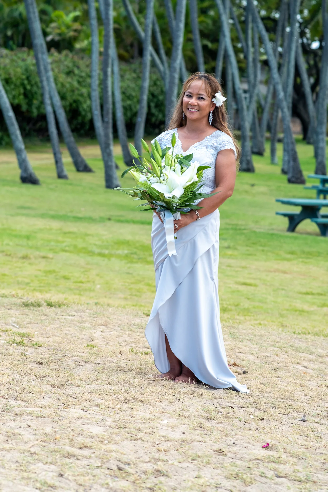 Rose in the park under the palms