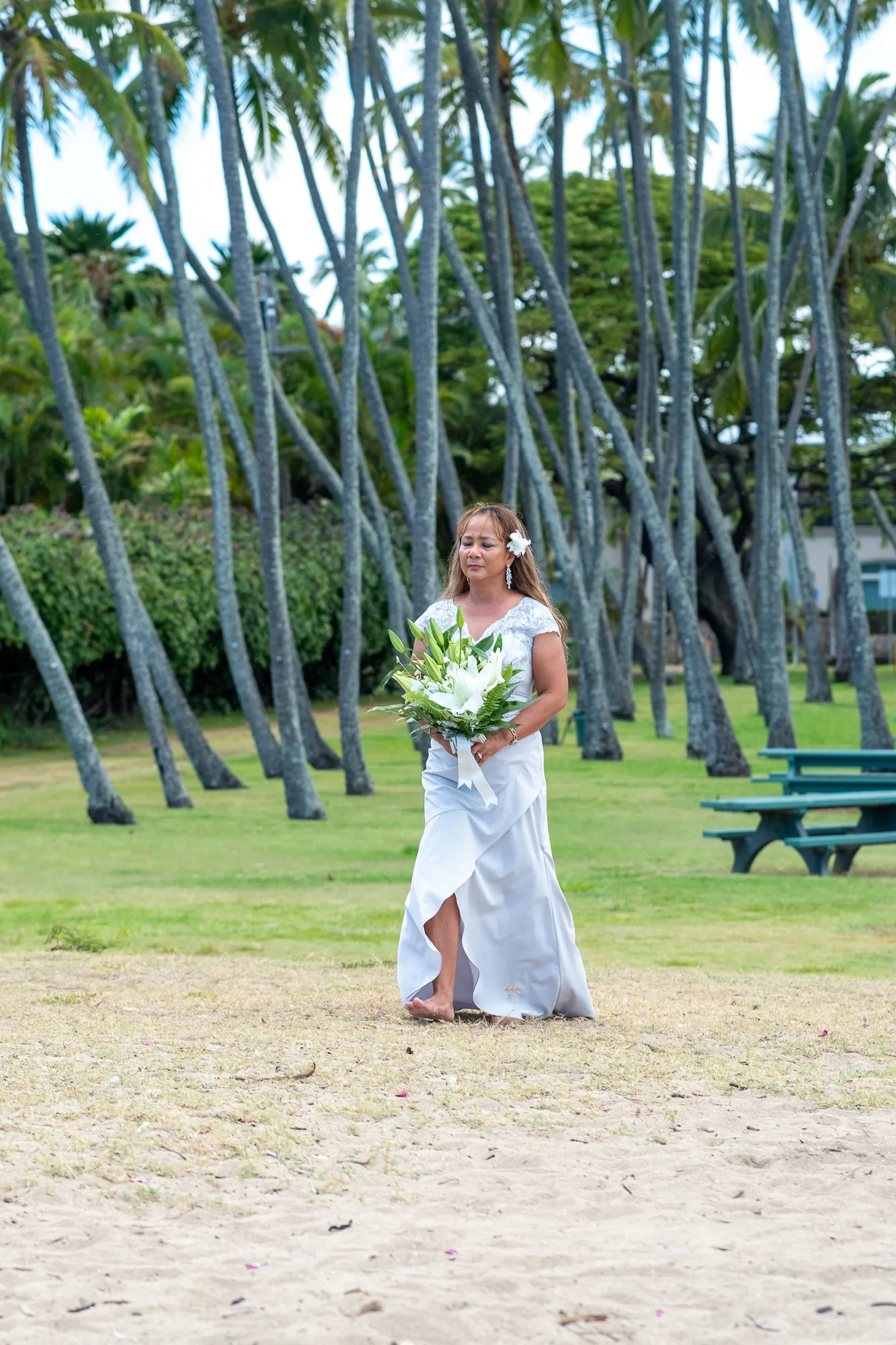 Rose under the palm grove