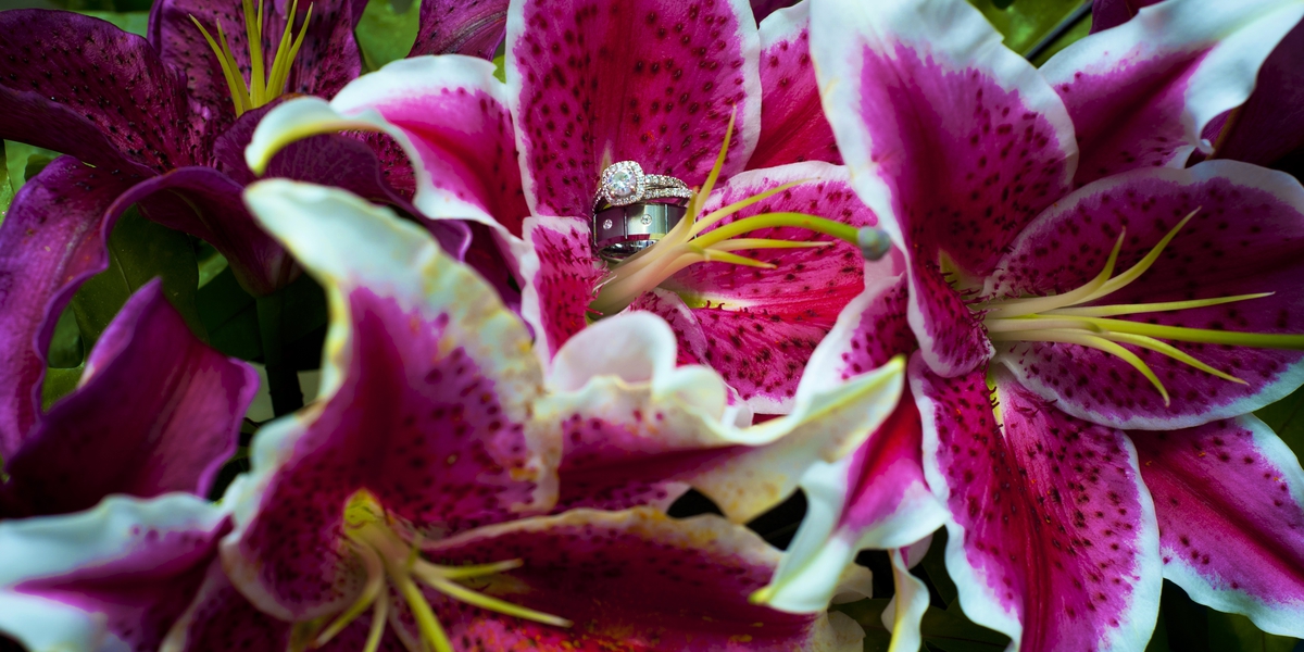 wedding024