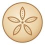 Sand dollar