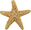 Starfish