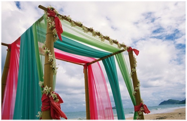 Teri bamboo arch with white orchids