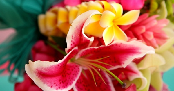 Wedding bouquet of stargazers and yellow plumerias