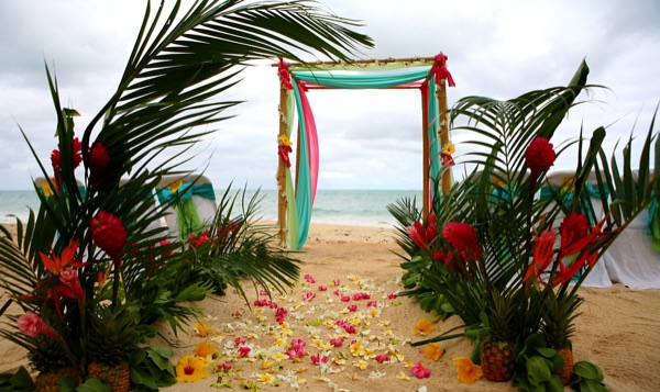 Palms and pineapple runway