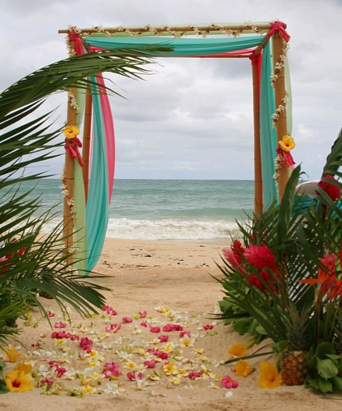 Flower gazebo with white orchids