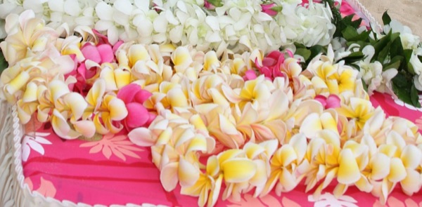 Flowers on the table