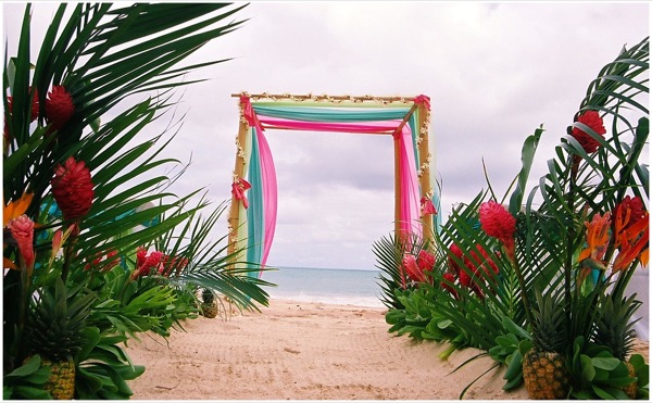 Wedding arch bamboo with fern and pineapple for Teri wedding