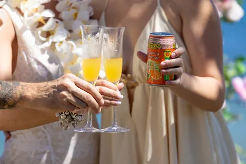 A toast with drinks after the ceremony