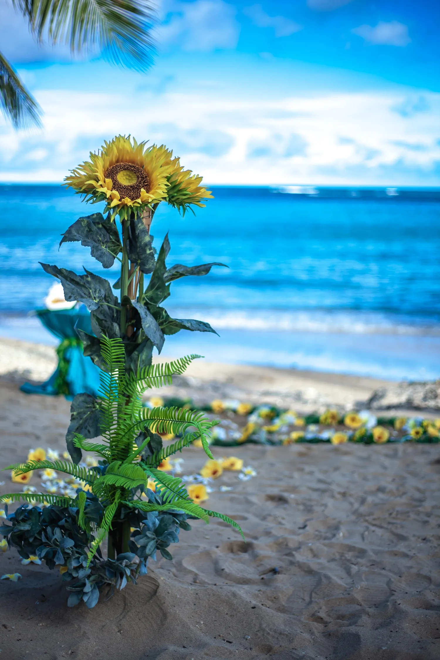 A sunflower stand against the blue sky and sea