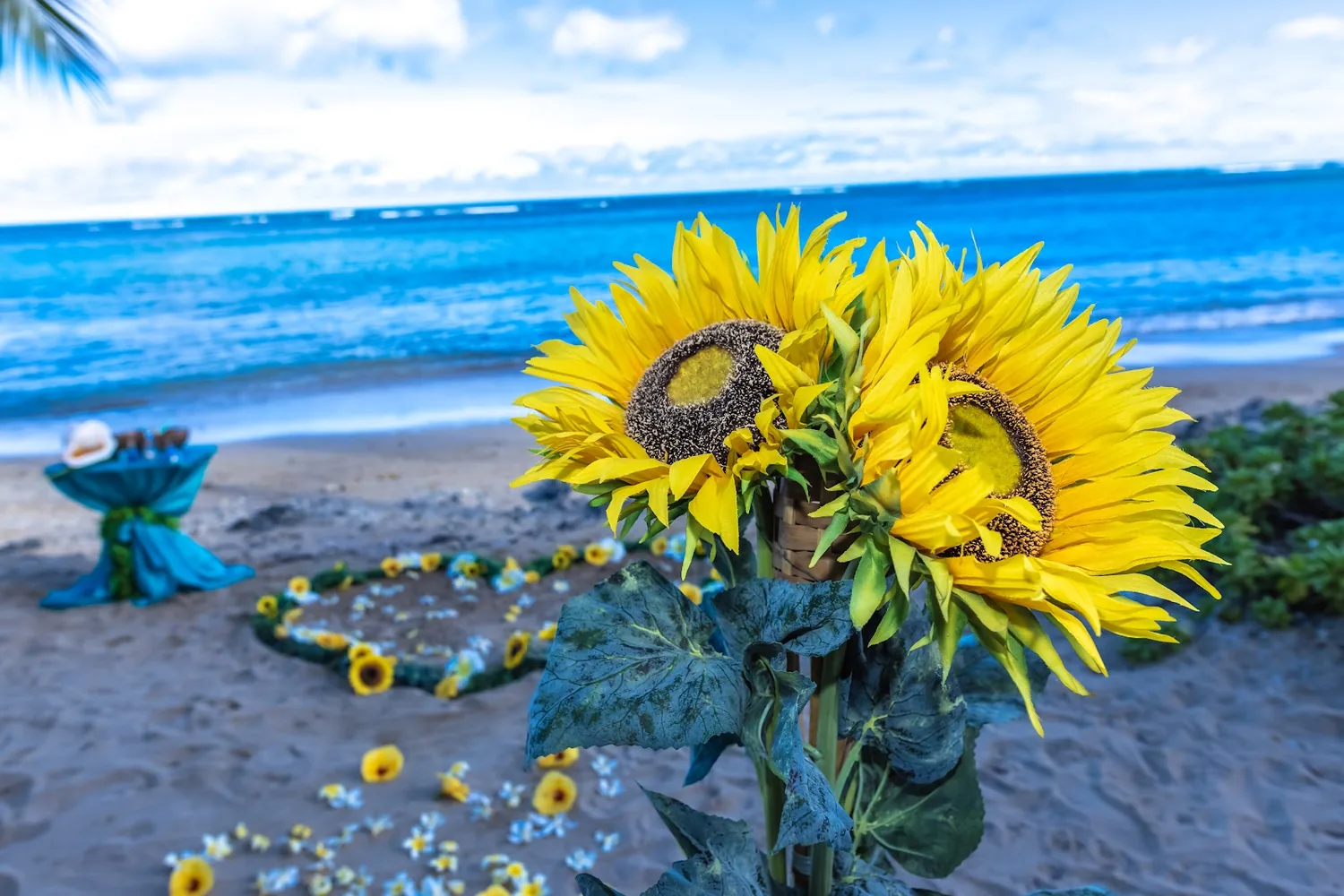 Close up of bright yellow sunflowers above the plumeria walkway