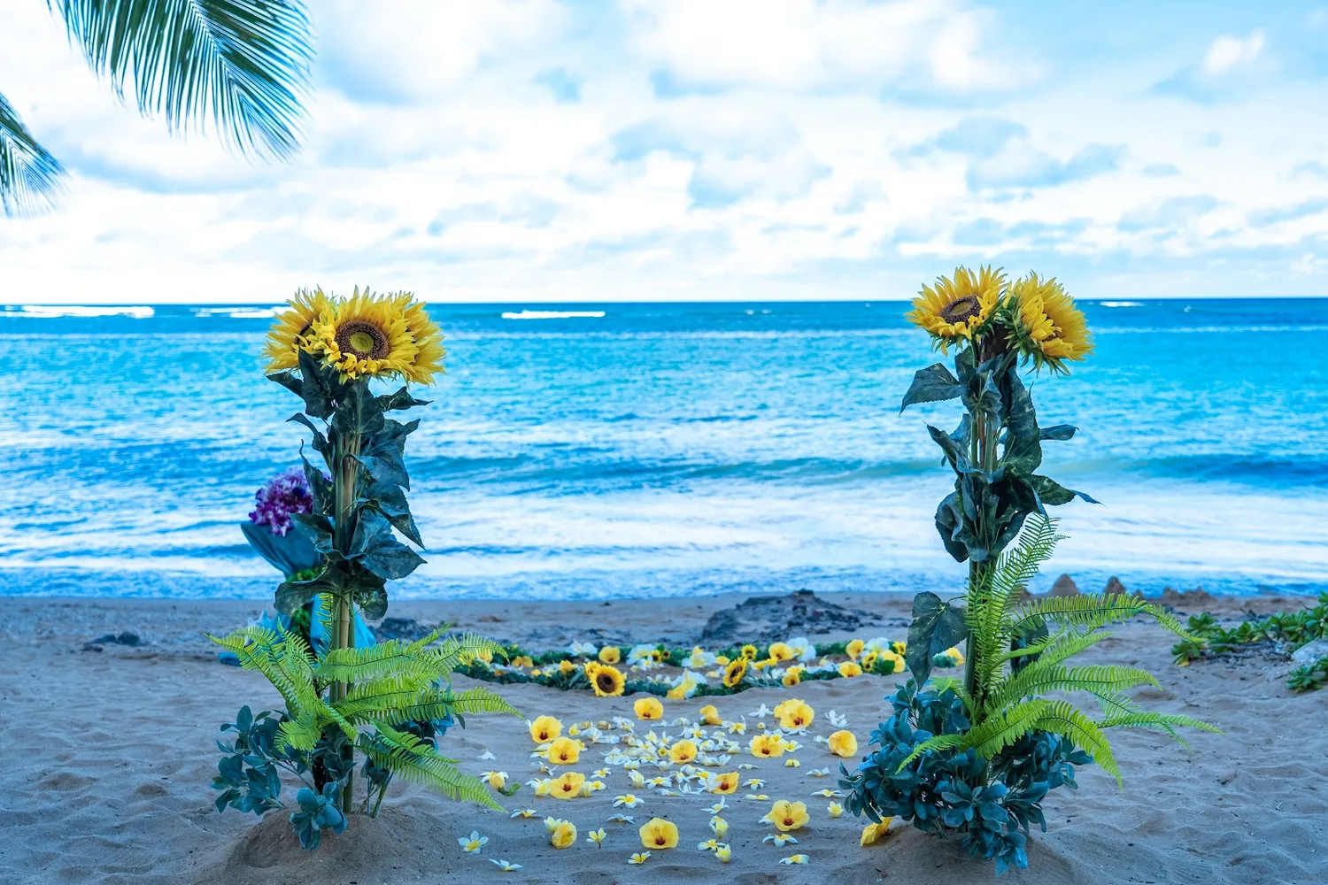 Two tall sunflower arrangements on the sand with yellow plumeria petals and the ocean behind