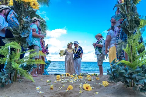 Sunflower stands and the yellow flower walkway with family gathered