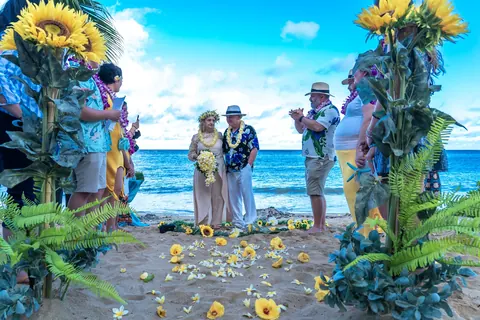 Sunflower stands and the yellow walkway with guests on the beach