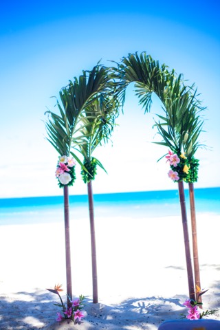 The colorful palm archway made for a 10 year vow renewal at Waimanalo