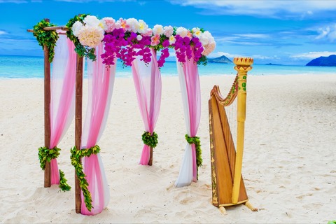 The golden harp beside a pink and white draped archway with fuchsia orchids