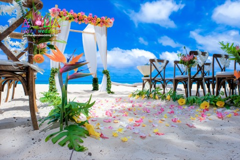 Multi color plumerias and hibiscus along the aisle of Lauren and Johnathan's Waimanalo wedding
