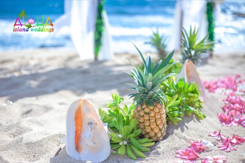 Pineapples, a conch shell and pink plumerias on the sand