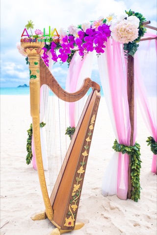The golden harp beside a bamboo archway in pink and purple