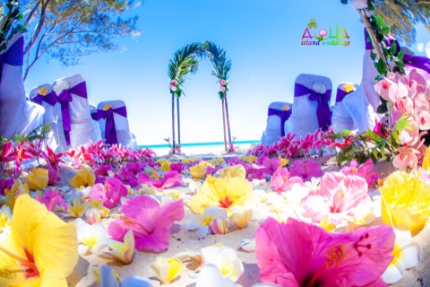 Bright Hawaiian flowers along the walkway past purple chairs
