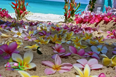 Pink and yellow plumerias and hibiscus scattered along the sandy aisle