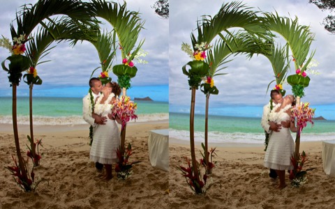 Karissa and Brian under the palm archway with native Hawaiian flowers