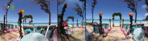 Panorama of the palm archway and flower lined aisle under a blue sky