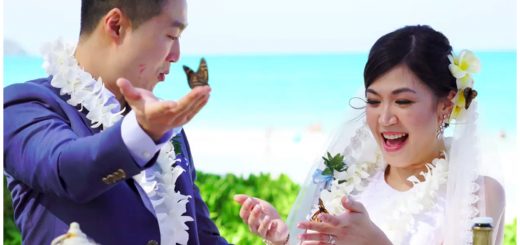 Wedding butterfly release Hawaii