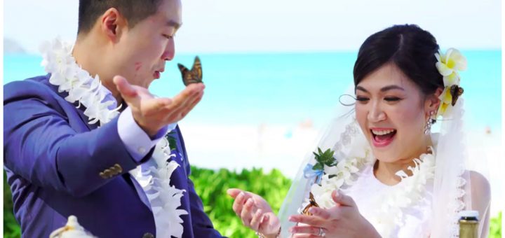 Wedding butterfly release Hawaii