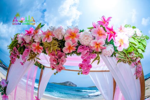 D&P Hawaii beach wedding photos in Hawaii3