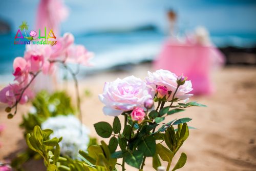 pink roses on the beach of Hawaii for the aisle way decorations