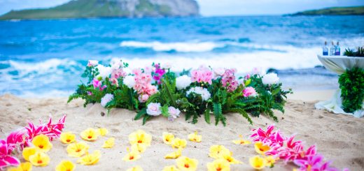 Flower circle in Hawaii