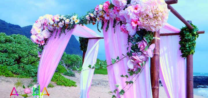 Pink and white gazebo for wedding in Hawaii