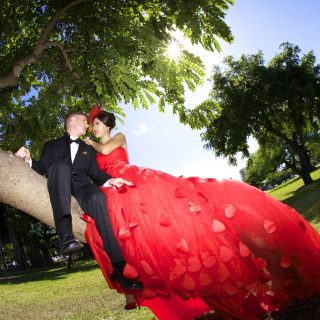 Sun flowing through for photo shoot at Kapiolani park