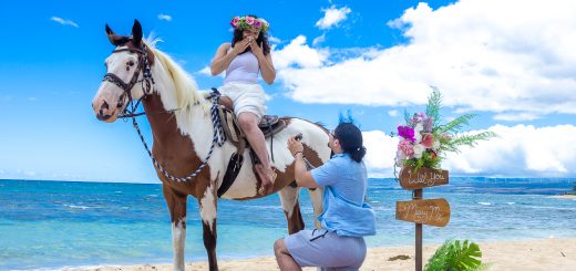 Proposing on horseback